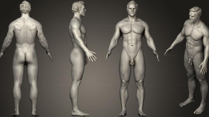 Анатомия скелеты и черепа (Супер Средний мужчина, ANTM_1097) 3D модель для ЧПУ станка